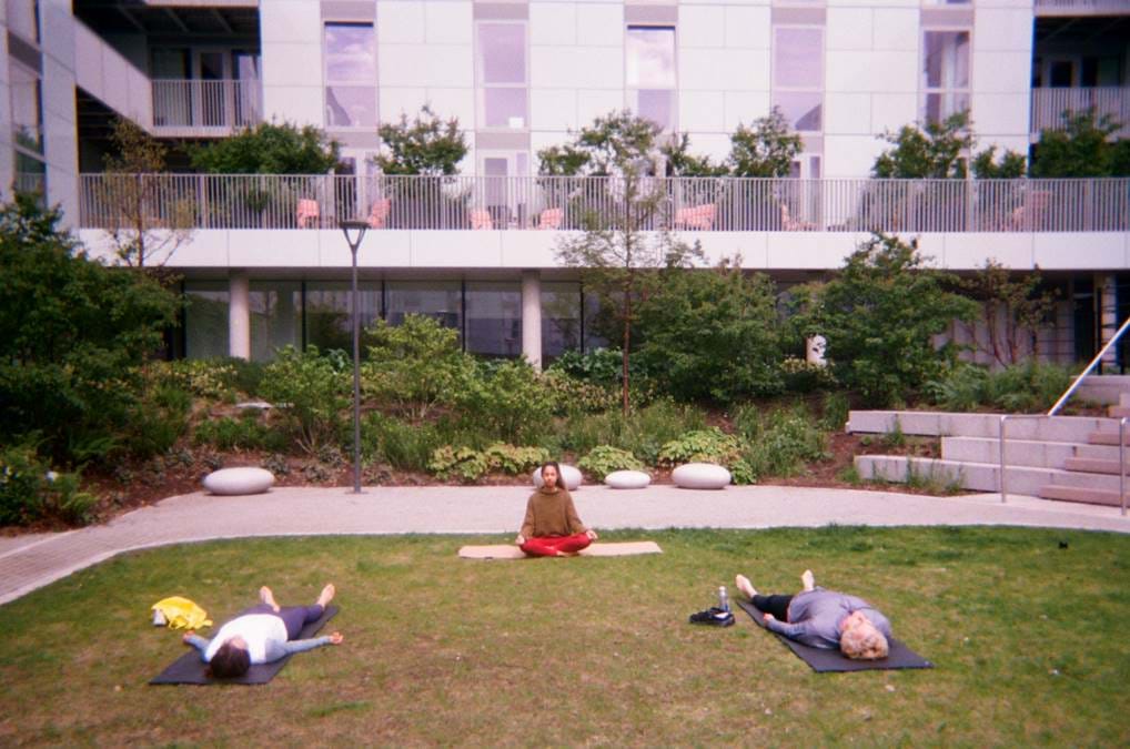 <p>Turing Locke - Yoga on the lawn</p>