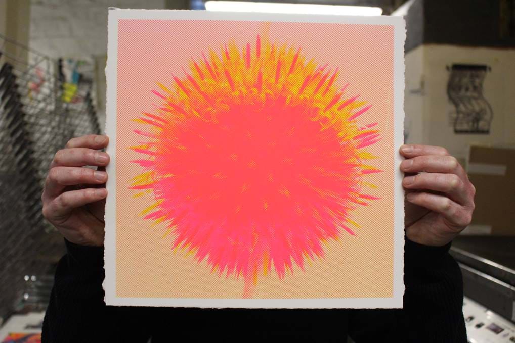 <p>'Echinio Pink'.</p>