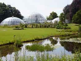 Jardin botanique, Zurich, Suisse