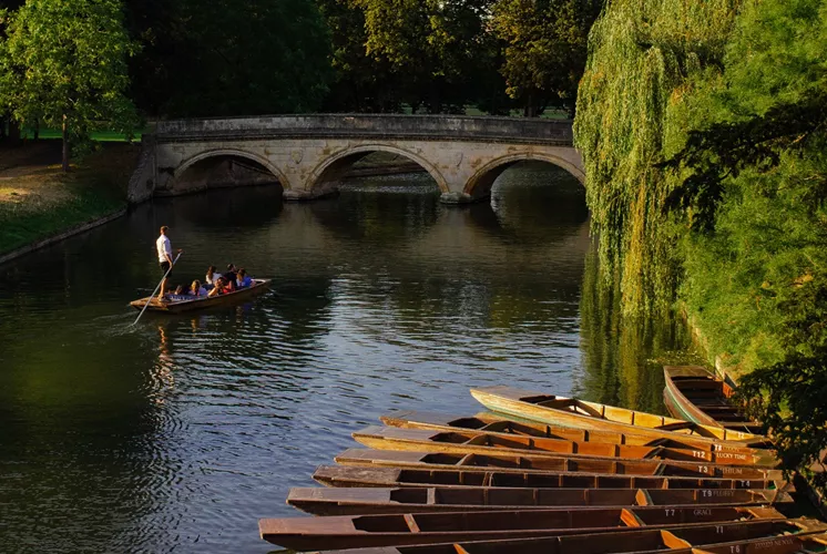 Get the local guide.